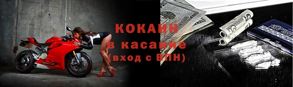 мяу мяу мука Арсеньев