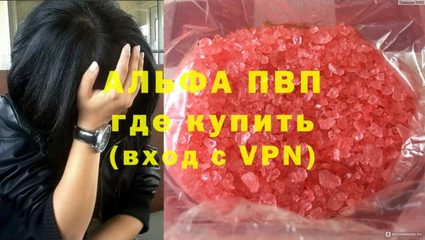 мяу мяу мука Арсеньев