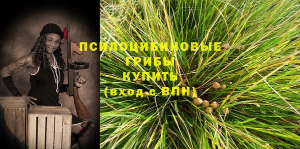 кокс Аркадак