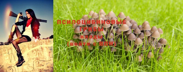 кокс Аркадак