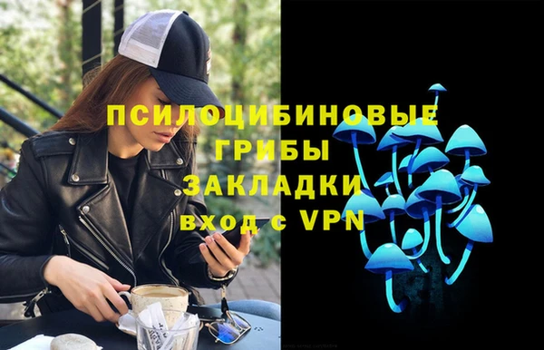 мяу мяу мука Арсеньев