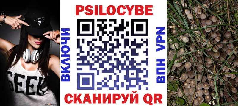 Галлюциногенные грибы Psilocybine cubensis  Медногорск 